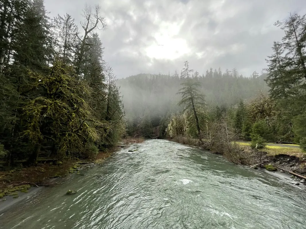 from bridge at Staircase in OLYM