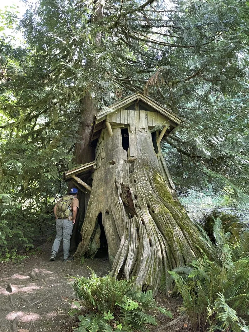Michael investigating the Stump House at Guillemot Cove