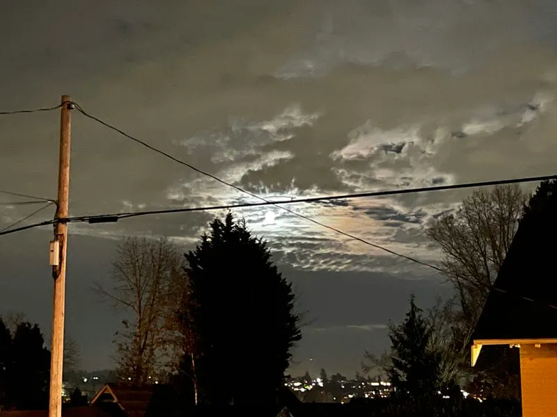 Beaver Moon