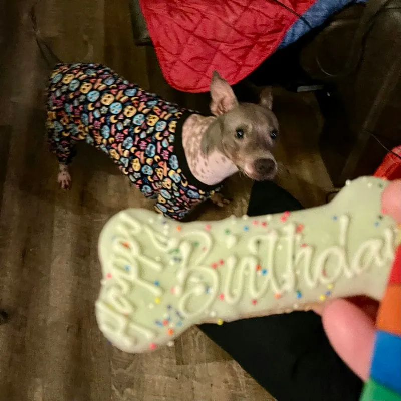 Ollie Birthday