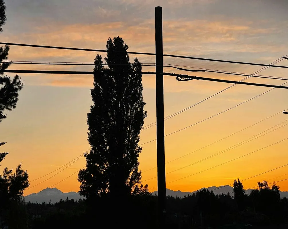 The Olympics at Sunset from Bremerton
