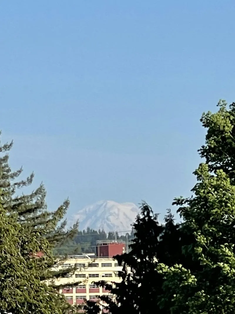 Tahoma as seen from Chester in Bremerton